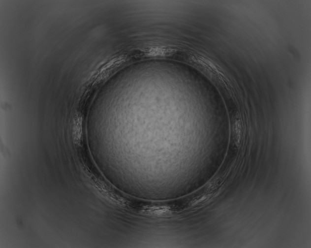 X0000090700554200708031415