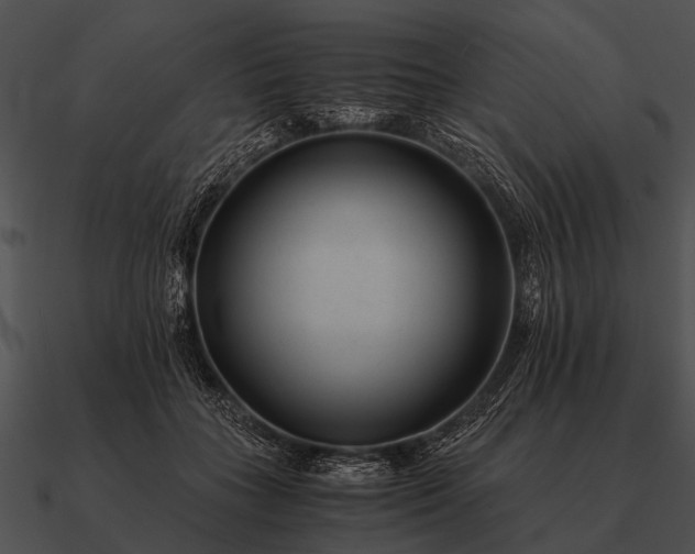 X0000090700555200708031415