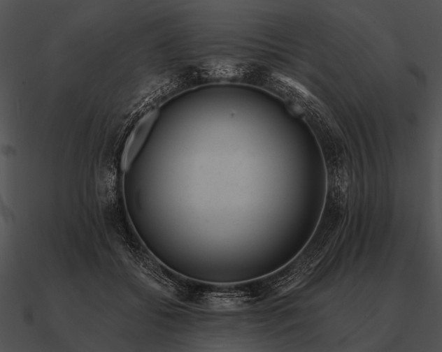 X0000090700556200708031415