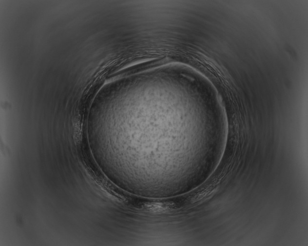 X0000090700558200708031415