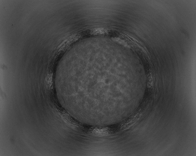 X0000090700560200708031415