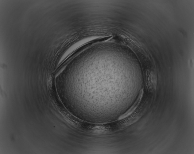 X0000090700562200708031415