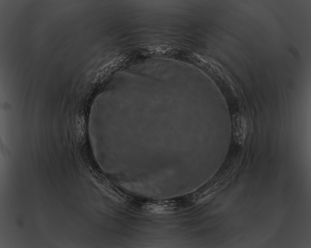 X0000090700563200708031415