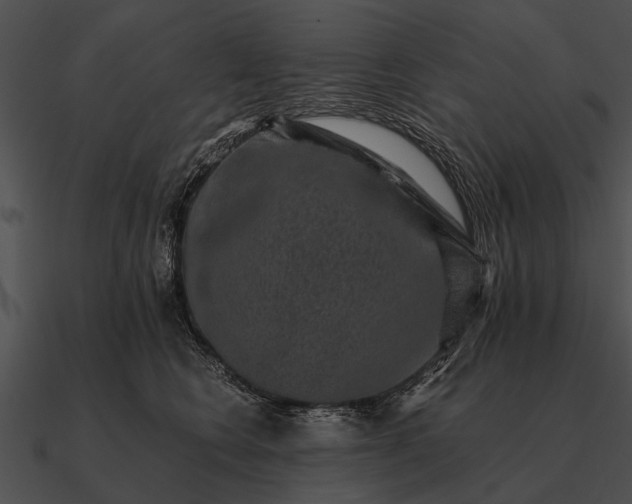 X0000090700566200708031415