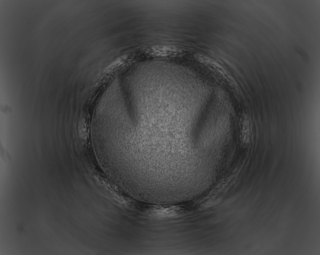 X0000090700569200708031416