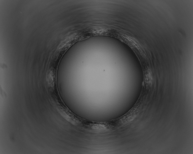 X0000090700572200708031416