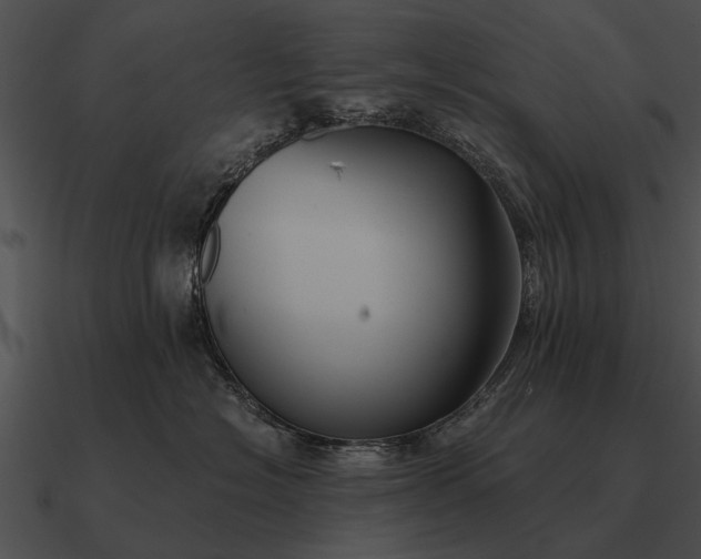 X0000090700574200708031416