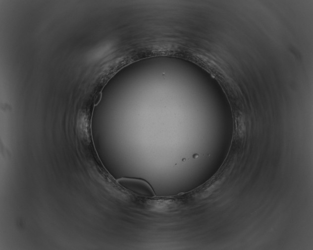 X0000090700575200708031416