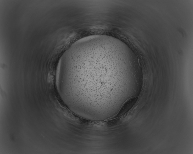 X0000090700576200708031416