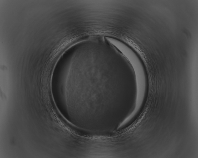 X0000090700577200708031415