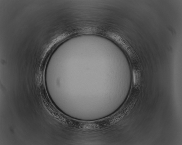 X0000090700579200708031415