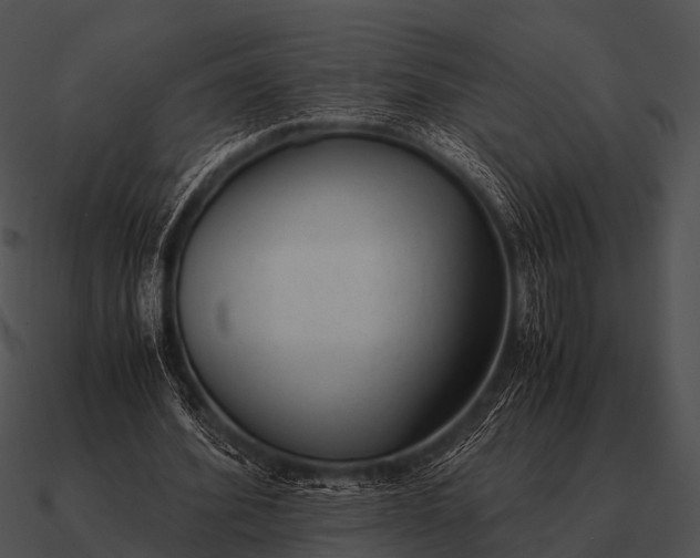 X0000090700580200708031415