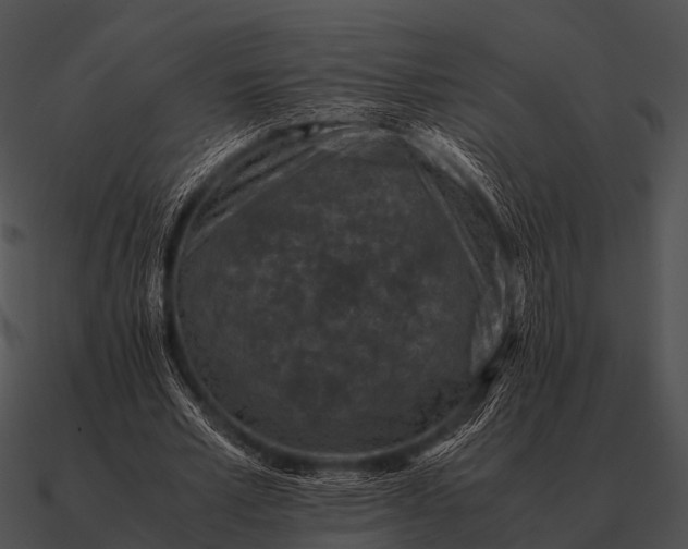 X0000090700581200708031415