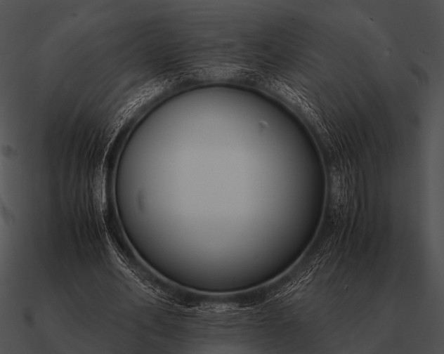 X0000090700582200708031415