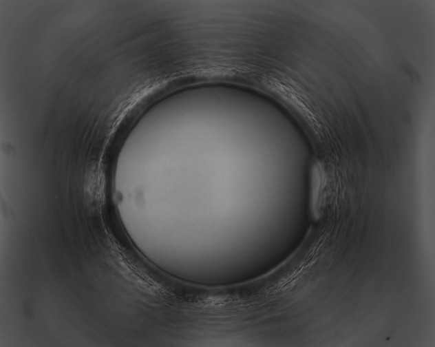 X0000090700584200708031415