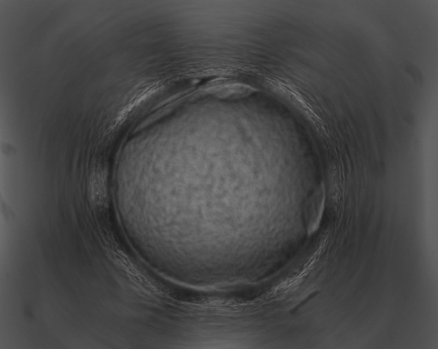 X0000090700585200708031415