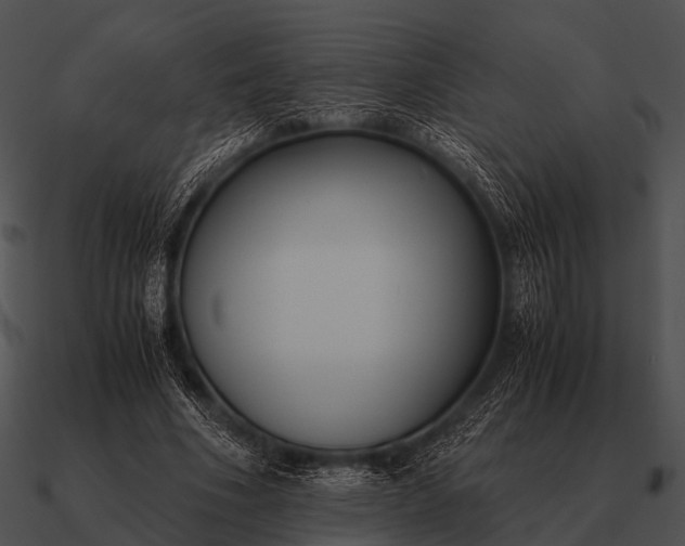 X0000090700586200708031415