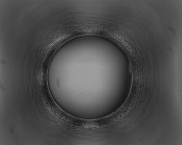 X0000090700587200708031415