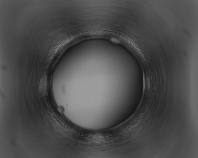 X0000090700588200708031415