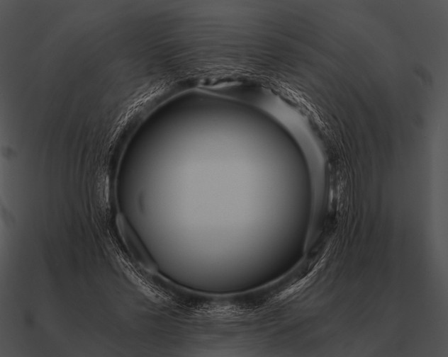 X0000090700589200708031415