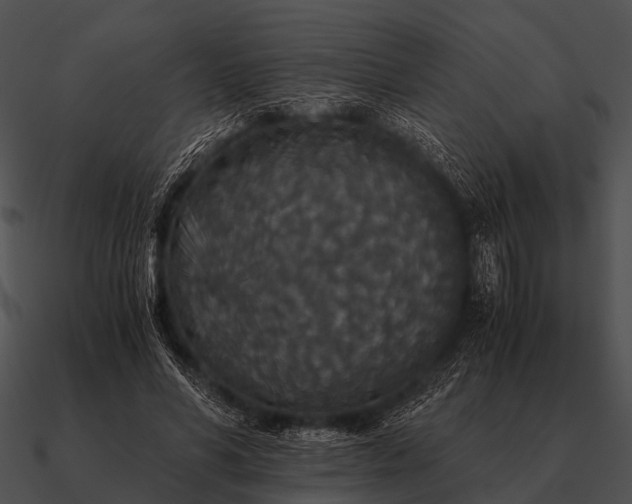 X0000090700590200708031415