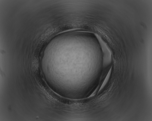 X0000090700593200708031415