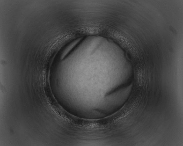 X0000090700594200708031415