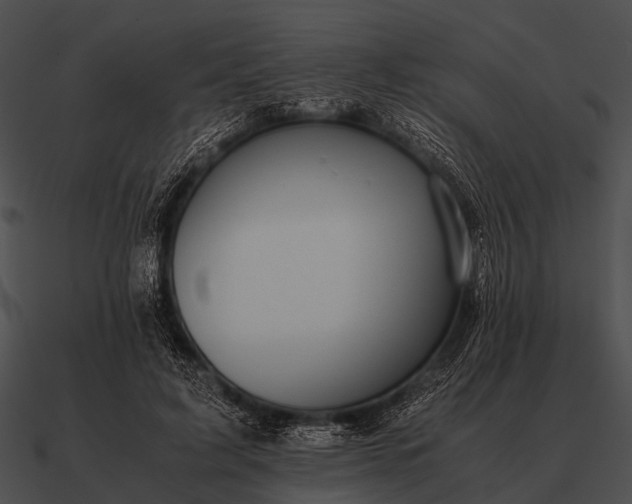 X0000090700595200708031415