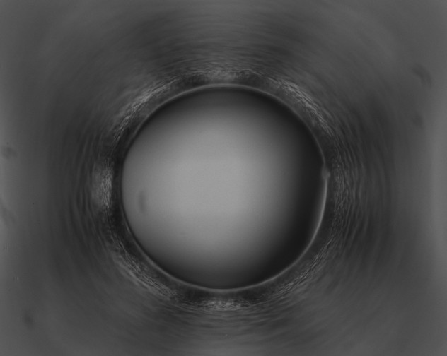 X0000090700596200708031415