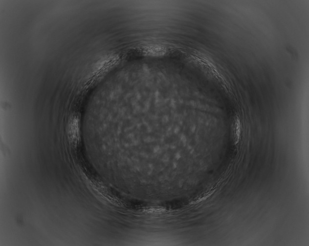 X0000090700598200708031415