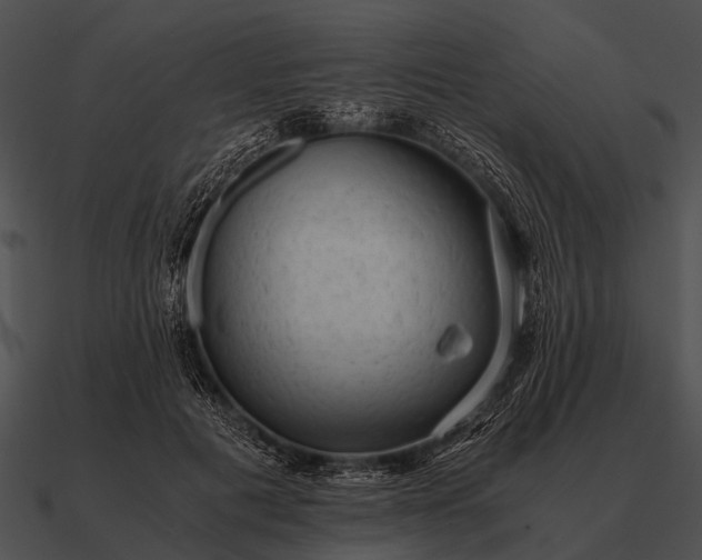 X0000090700601200708031415