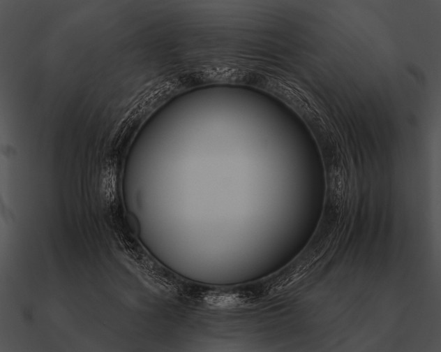 X0000090700602200708031415