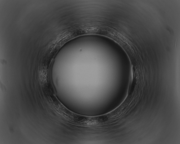 X0000090700604200708031415