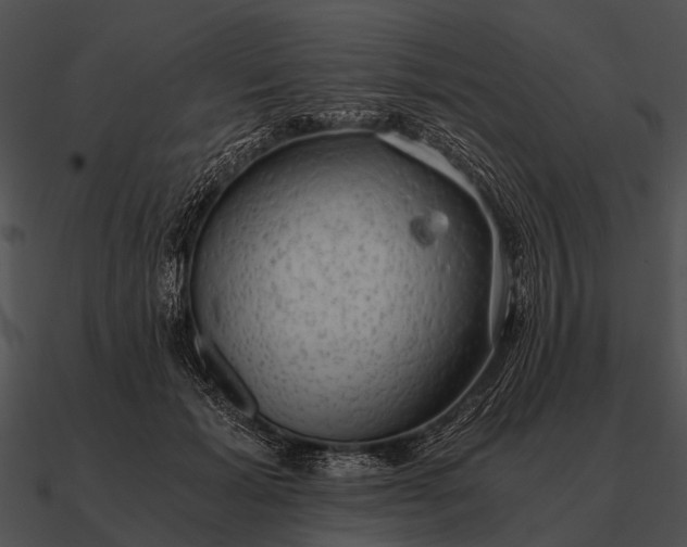 X0000090700605200708031415