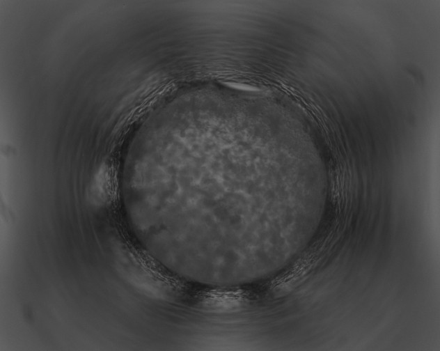 X0000090700606200708031415