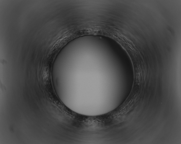 X0000090700608200708031415