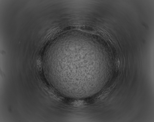 X0000090700609200708031415