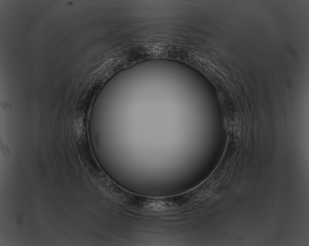 X0000090700611200708031414