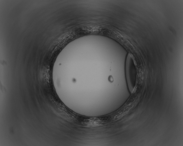 X0000090700612200708031414