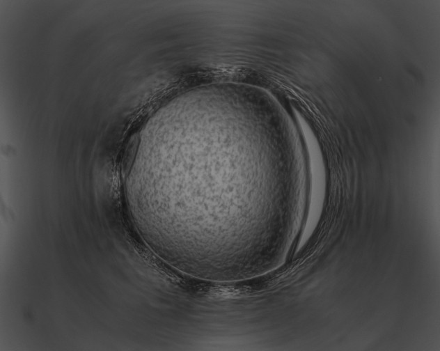 X0000090700613200708031414