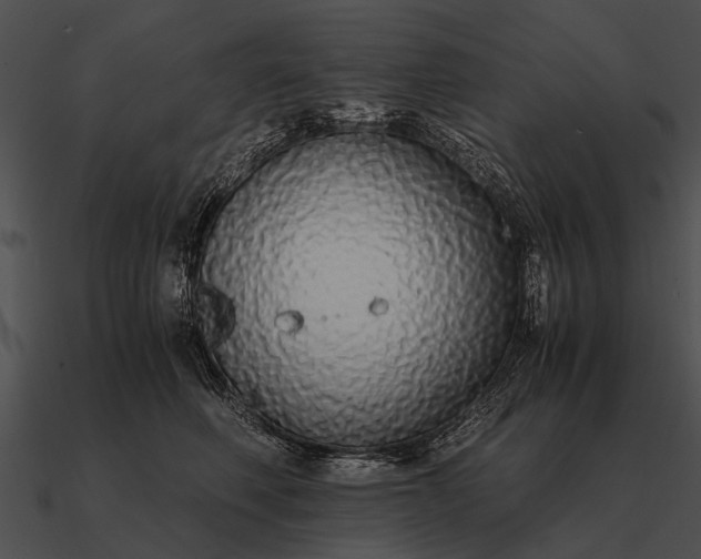 X0000090700614200708031414