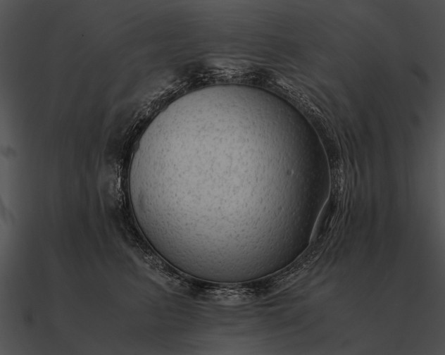 X0000090700615200708031414