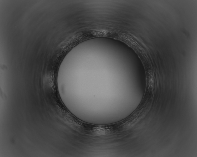 X0000090700616200708031414