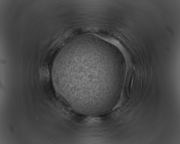 X0000090700617200708031414