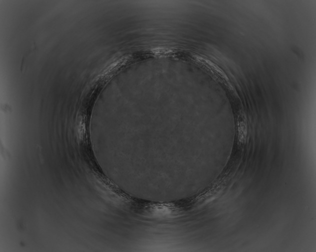 X0000090700618200708031414