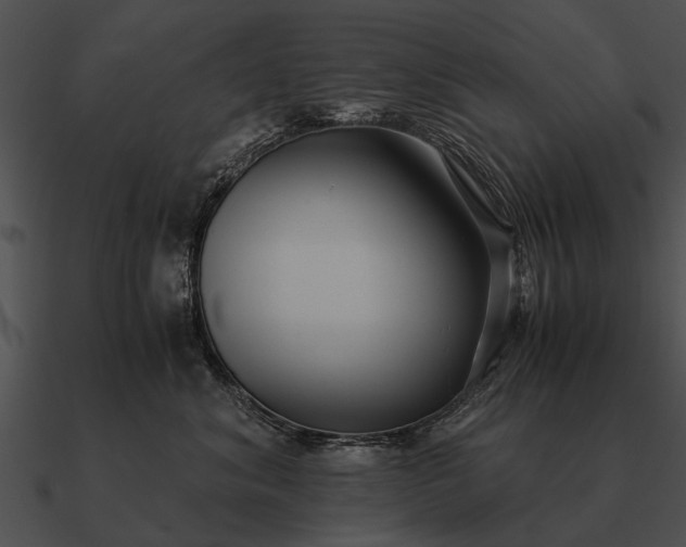 X0000090700620200708031414