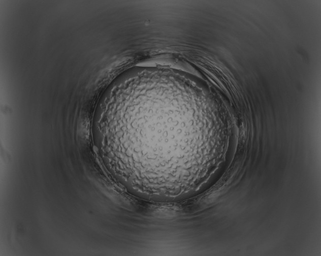 X0000090700621200708031414