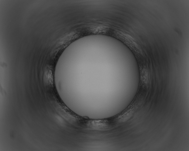 X0000090700622200708031414