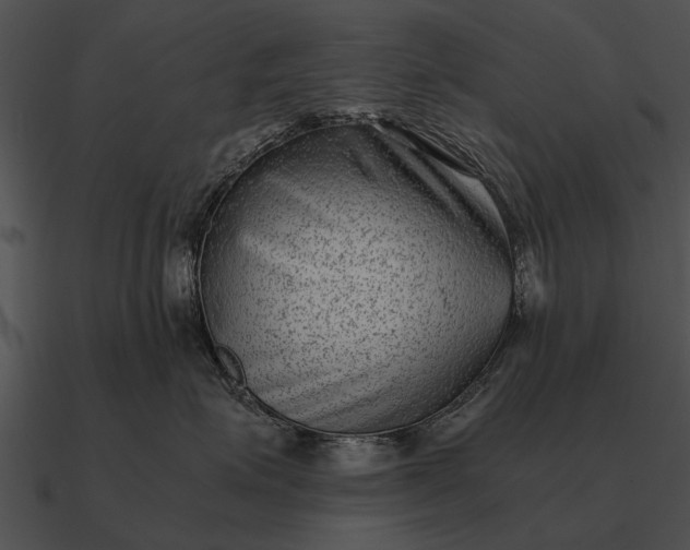 X0000090700623200708031414