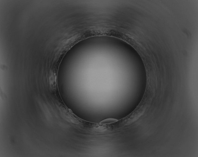 X0000090700624200708031414